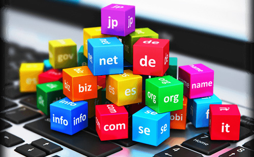 Domain Name Registration